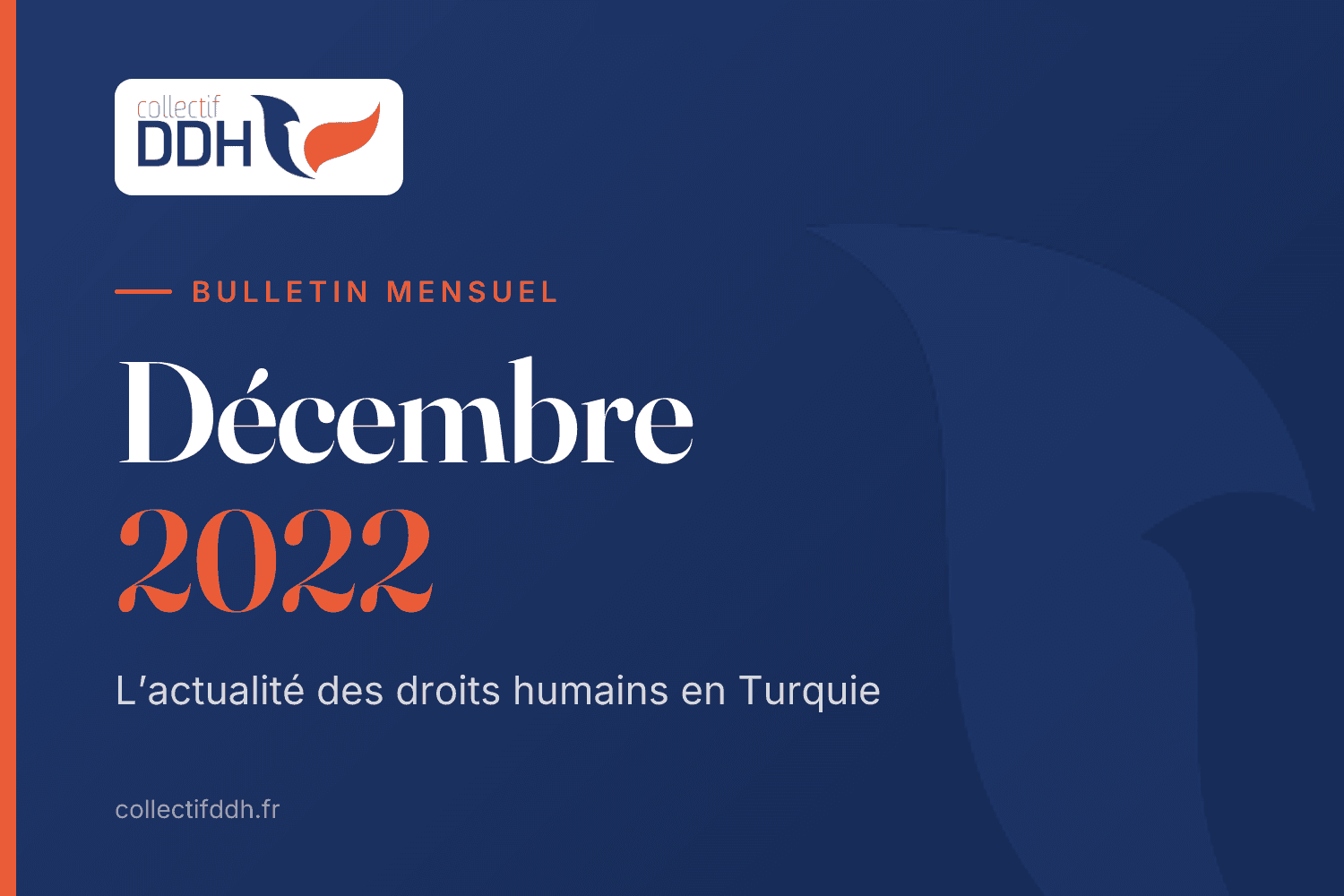 Bulletin mensuel du Collectif DDH : Décembre 2022