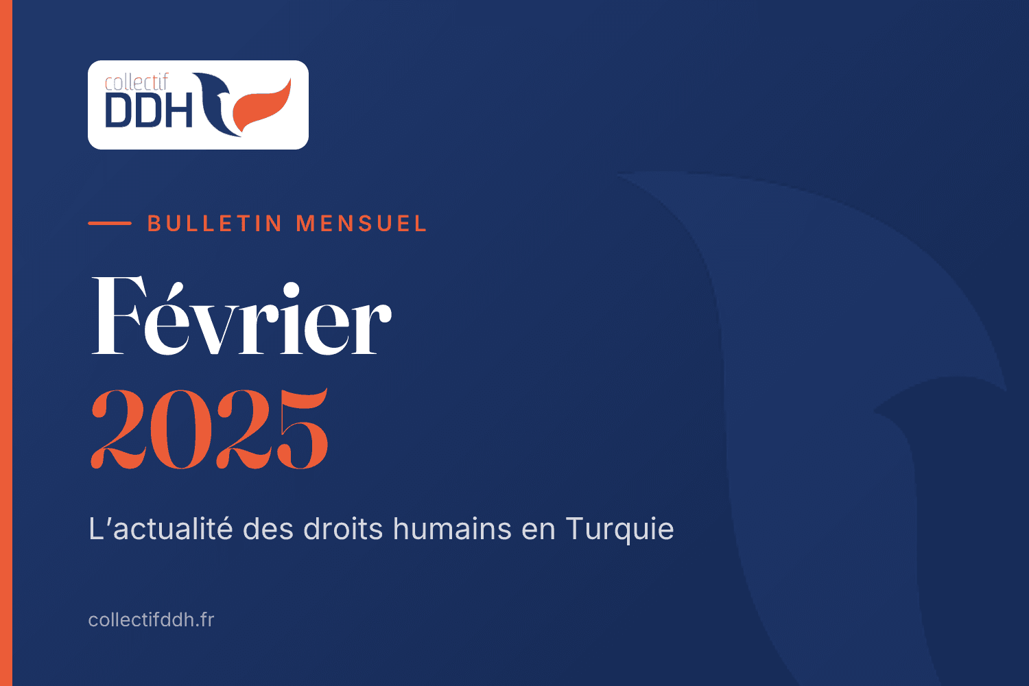 Bulletin mensuel du Collectif DDH : Février 2025