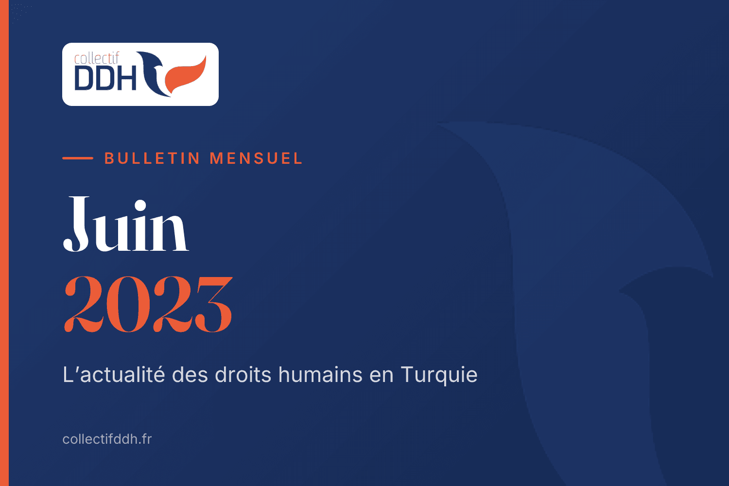 Bulletin mensuel du Collectif DDH : Juin 2023